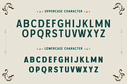 Palmera - Vintage Font, a Sans Serif Font by Mine Type Lab (Thumbnail 2 of 10)