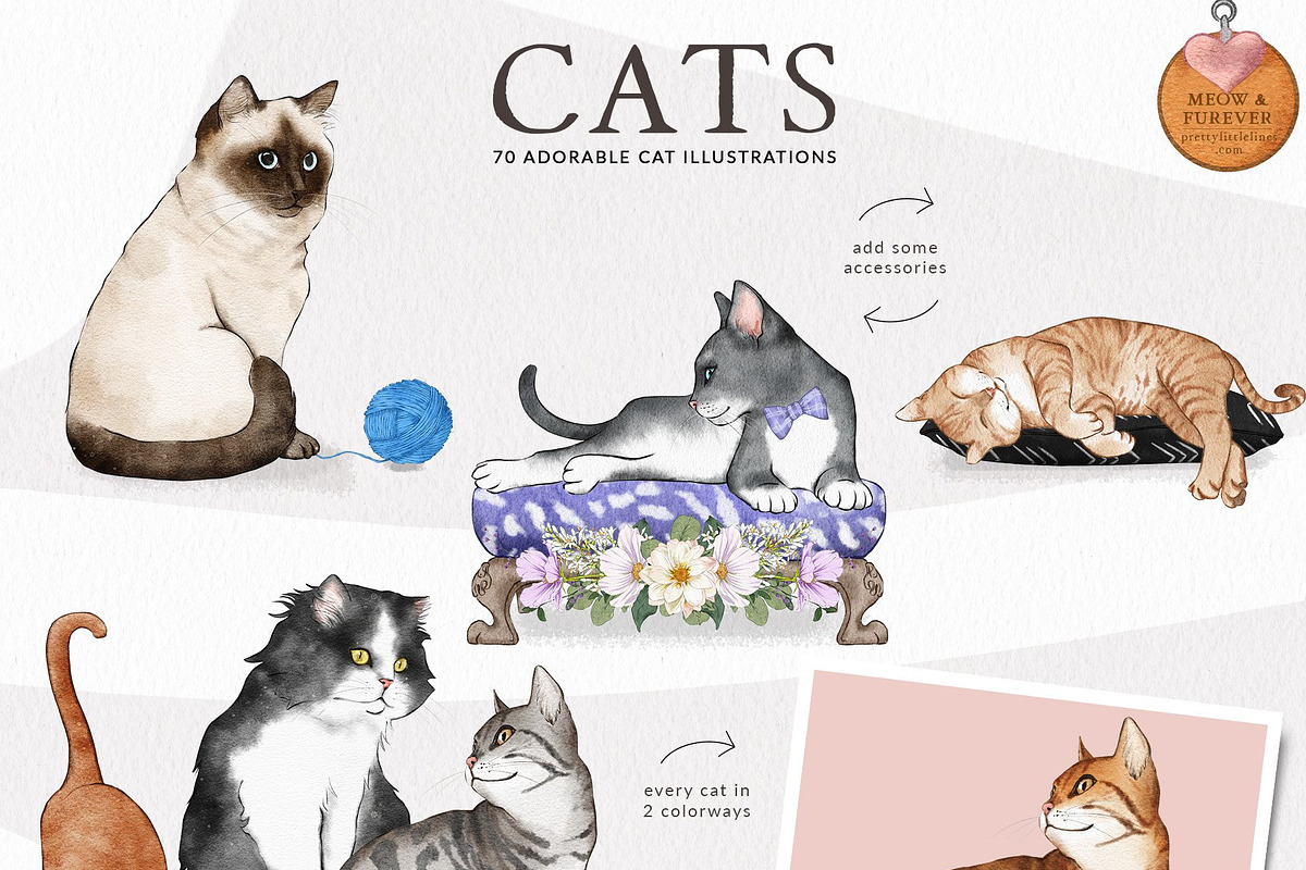 Pet Illustrations Patterns & Borders, a Graphic by Pretty Little Lines (Photo 14 of 29)