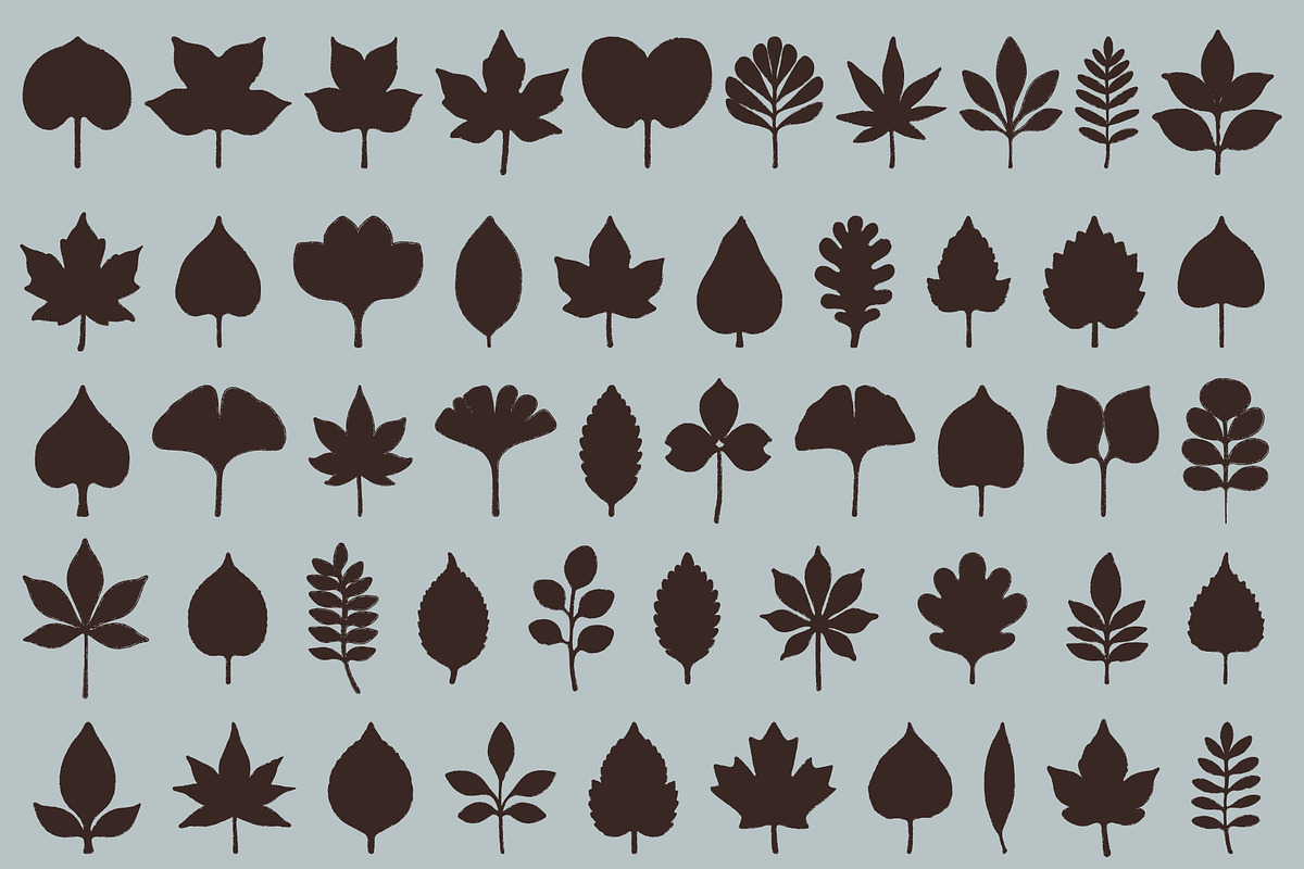 Autumn Foliage: 100 Leaves Pack, an Object Illustration by Veyla (Photo 5 of 15)