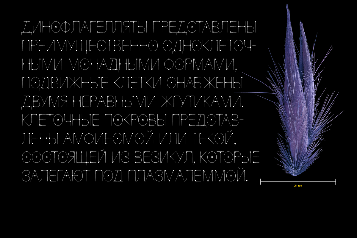 Krays — Extra Thin Accidental Font, a Serif Font by Viktor Pesotsky | Fonts (Photo 15 of 18)