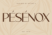 Legowo - Modern Elegant Font, a Sans Serif Font by Pekotype (Thumbnail 7 of 16)