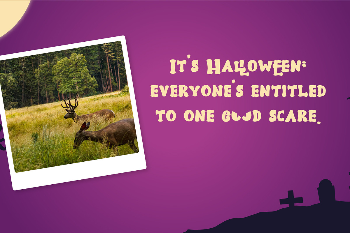 Tricky or Funky Halloween Theme, a Handwritten Font by TrimStudio (Photo 7 of 12)