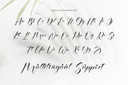 Ethereal Handwritten, a Script Font by Letterara (Thumbnail 10 of 13)