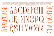 Mintgash Ainlone - Elegant Serif, a Serif Font by TypeClassHeroes (Thumbnail 3 of 10)