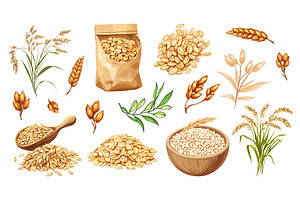 Oats grain set. Oat wheat with, a Food Illustration by Valerie Bodnar