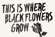 Blackflower, a Script Font by TypeFaith Fonts (Thumbnail 3 of 5)