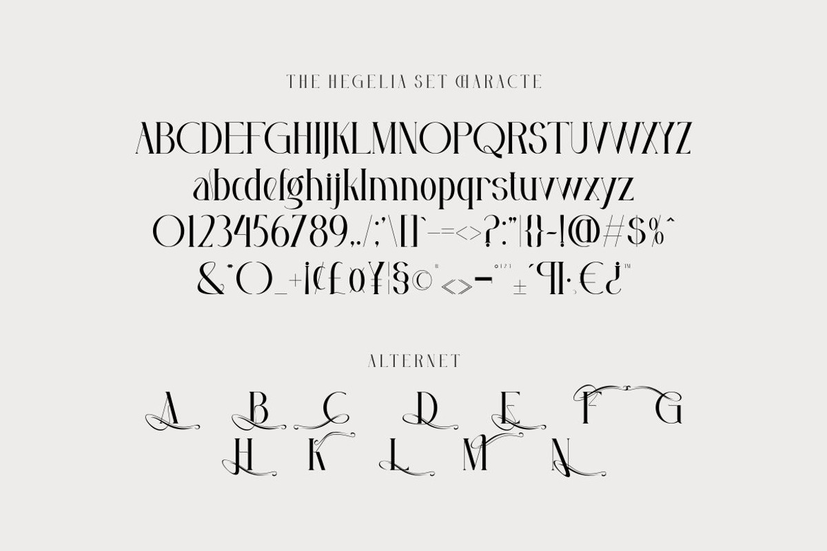 Hegelia, a Serif Font by Kenrichi (Photo 4 of 10)