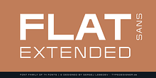 Flat Sans Extended