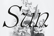 Furlong Vintage Serif Font, a Serif Font by Tropical Type (Thumbnail 8 of 11)