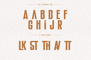 Hookride - Condensed Display Font, a Sans Serif Font by Sronstudio (Thumbnail 11 of 12)