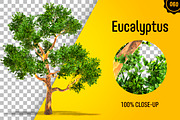 CUT OUT TREES - 60 PCS BUNDLE, a Packaging Mockup by 3DSTORE (Thumbnail 61 of 63)