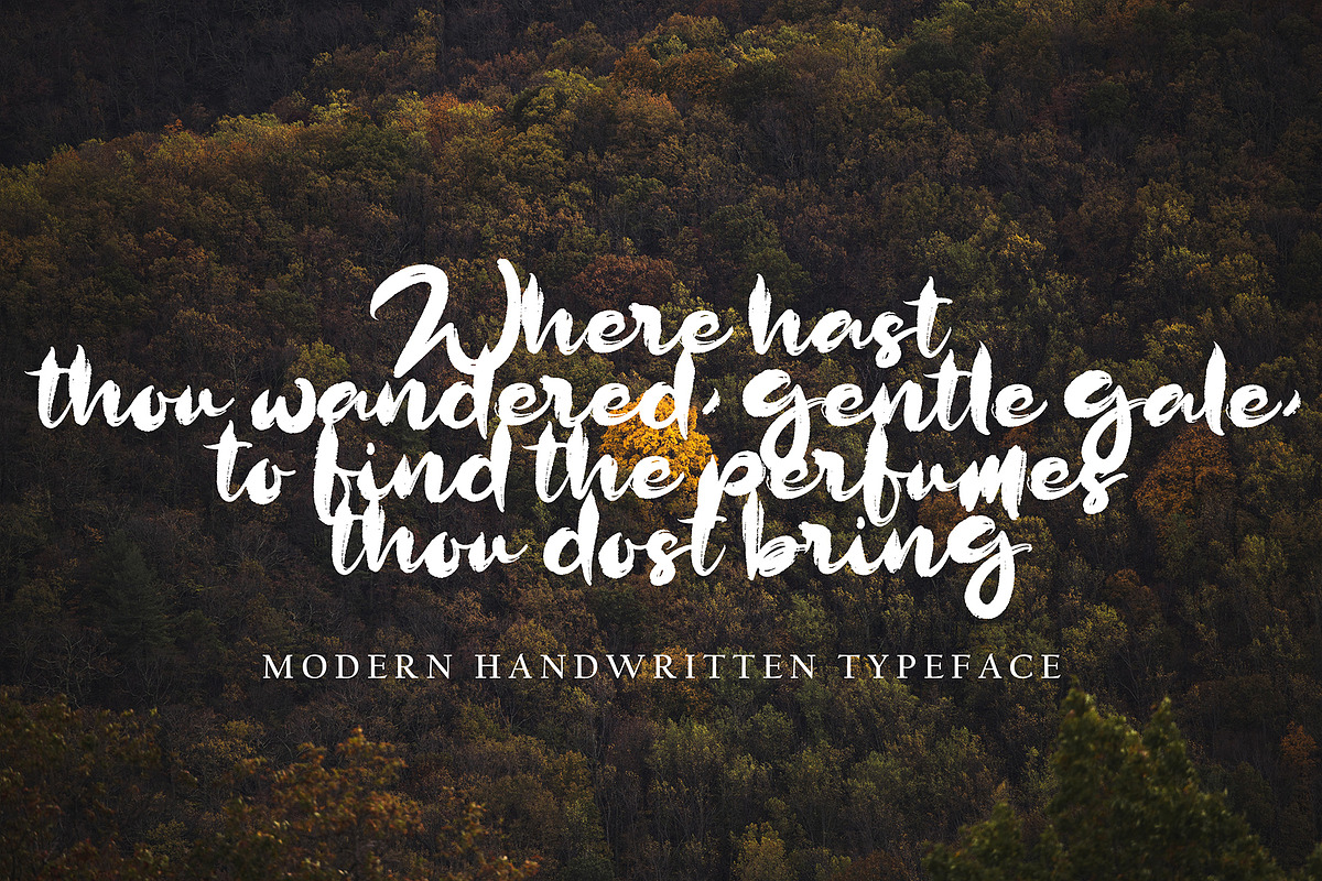 Dhe Facty, a Handwritten Font by pineungtype (Photo 6 of 6)