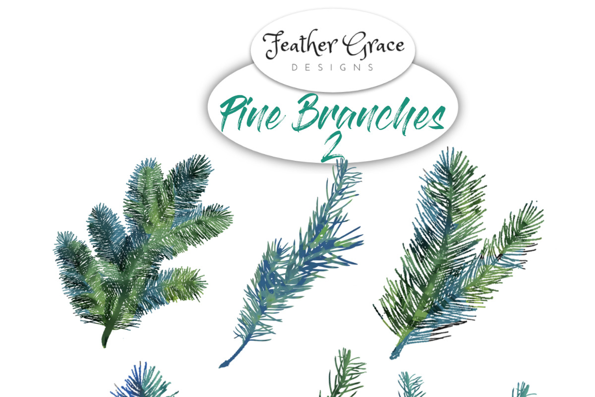 Pine Branches 2, an Illustration by Feather Grace Designs (Photo 2 of 3)