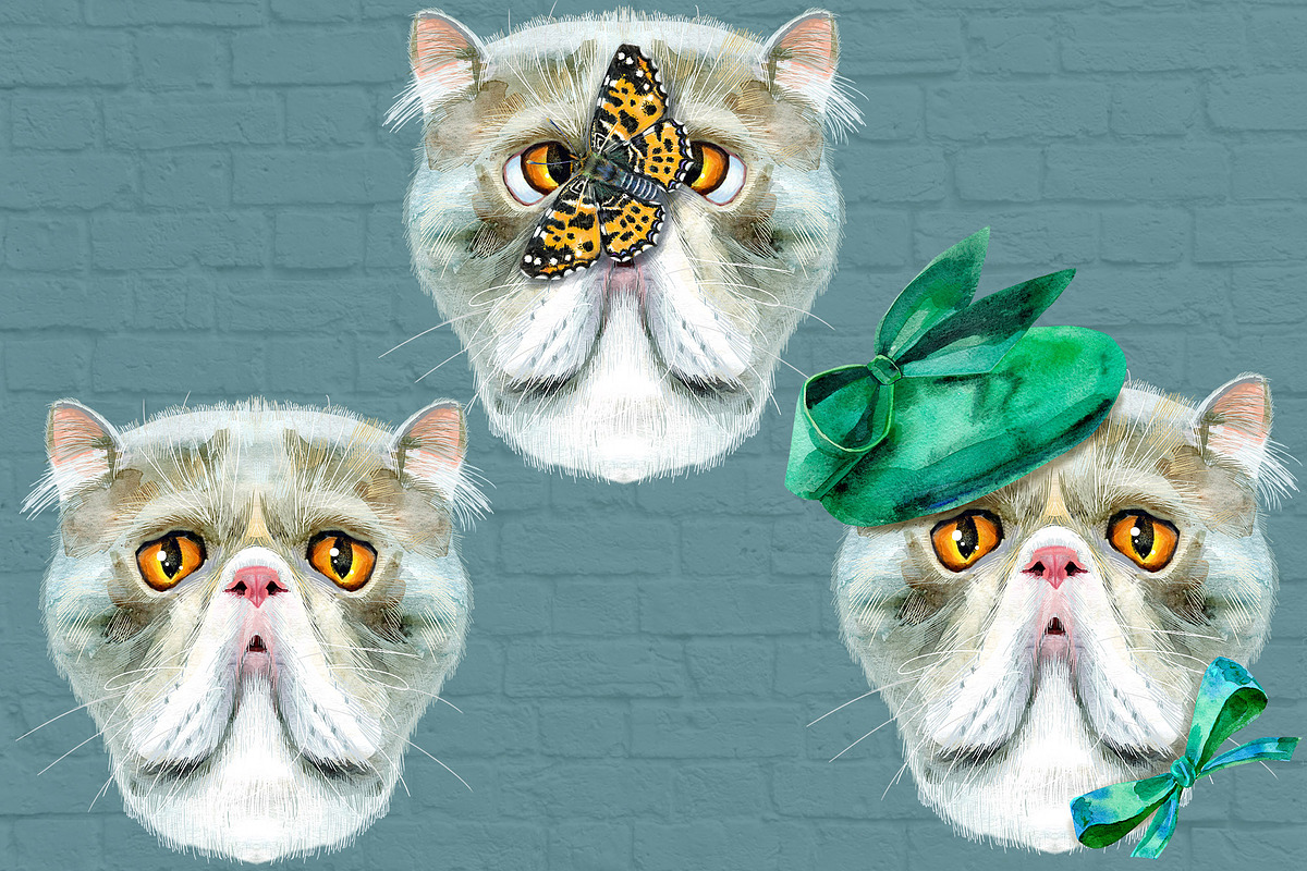 Portraits of Exotic Shorthair cat, an Animal Illustration by Watercolor fantasy (Photo 3 of 6)