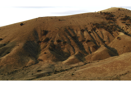 Beautiful view of red hills covered, a Nature Photo by Media Whale Stock