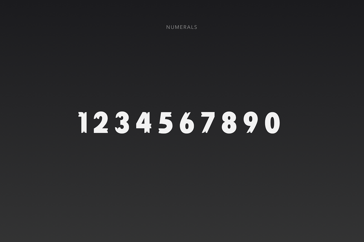 EUROPIUM - Vintage Slab Serif Font, a Slab Serif Font by vix.vix (Photo 5 of 6)