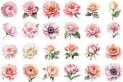 Watercolor Blush Florals Clipart Set, an Illustration by Sublimation Artist (Thumbnail 2 of 6)