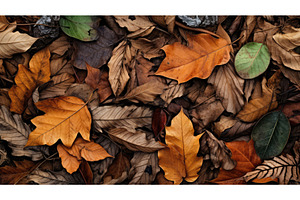 fall pile of leaves ai generated, a Nature Photo by pikepicture