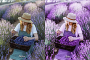 30 Magic Mauve Lightroom Collection, a Preset Add-On by 3Motional (Thumbnail 5 of 11)