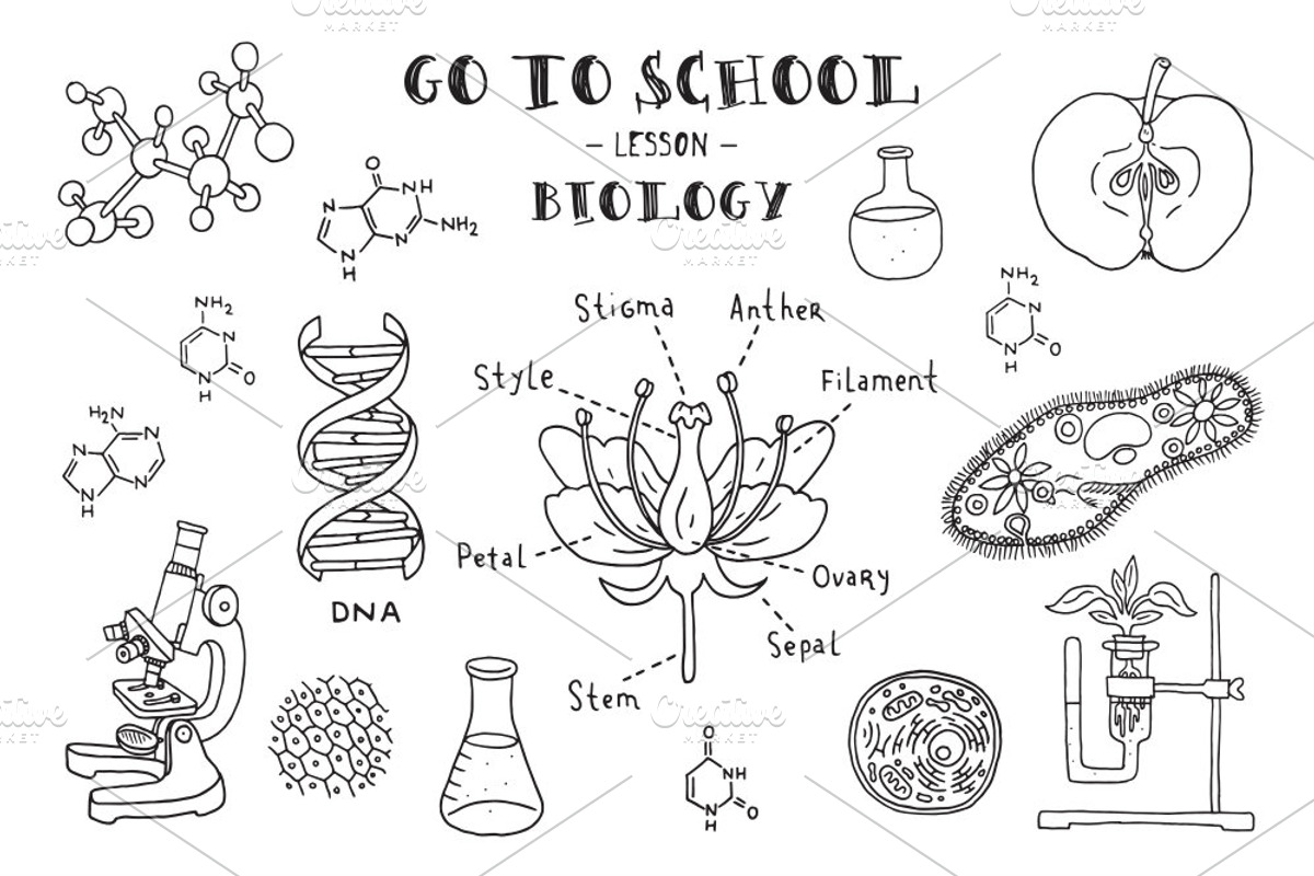 Go to school. Doodle set, an Education Illustration by WINS Doodle shop (Photo 3 of 10)