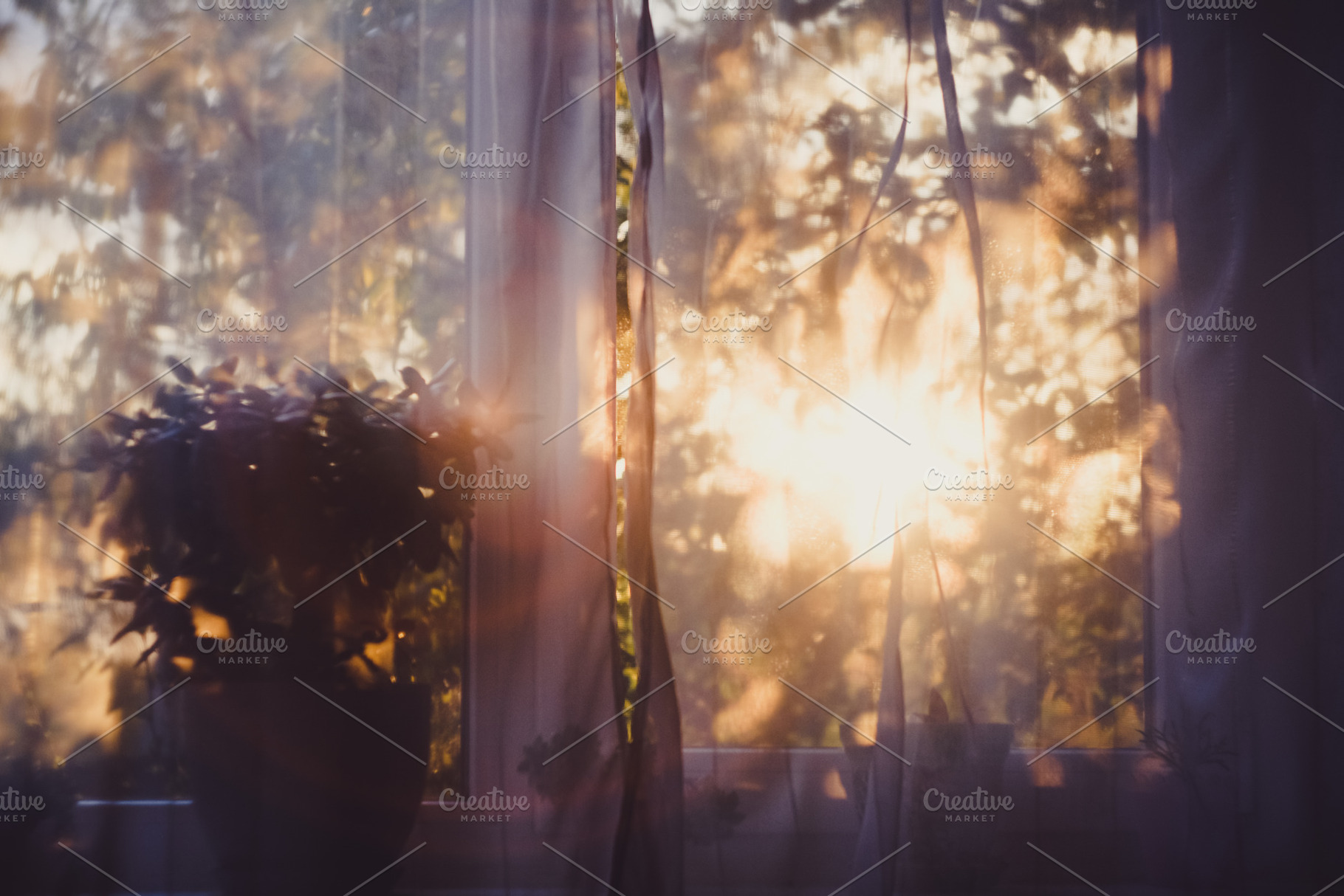 Cozy Home Atmosphere, an Abstract Photo by Pro.Motion