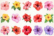 Hibiscus Flower Bloom Clipart, an Illustration by Rose Art (Thumbnail 2 of 6)