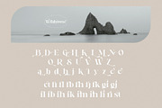 Wildstone - Ligature Serif Typeface, a Serif Font by BrandSemut (Thumbnail 9 of 10)