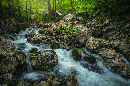 Creek with cascades in the forest, a Nature Photo by Alpine Dreams