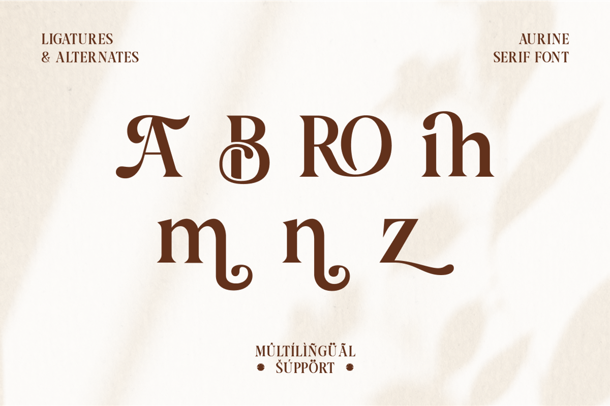 Aurine Modern Display Serif Font, a Serif Font by Rasio Studio (Photo 4 of 8)