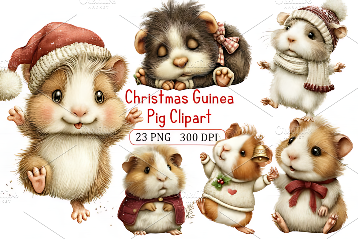 Artistic Christmas Guinea Clipart, a Seasonal Illustration by Design Art (Photo 1 of 5)