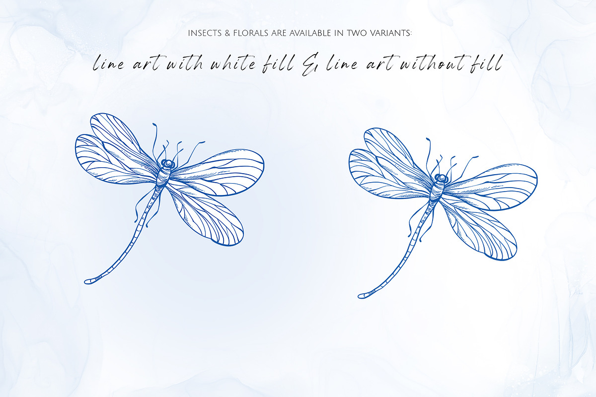 INSECTS & FLOWERS line art set, a Decorative Illustration by Yuliia Lashevska (Photo 11 of 12)