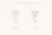 Botanical Hand Drawn Designs, Logos, a Seasonal Illustration by Designwork (Thumbnail 16 of 22)