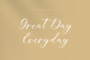 Blink Signature Calligraphy Font, a Script Font by Pen Culture (Thumbnail 3 of 6)