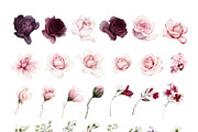 Amanda | Botanical set | 205 images, an Illustration by Karma (Thumbnail 16 of 27)