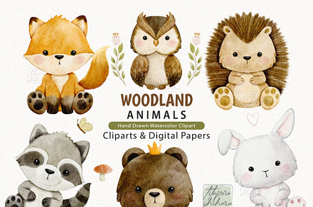 Watercolor Woodland Animals Clipart, an Animal Illustration by TitaLivingArt