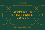 RIVERDALE Serif Font, a Serif Font by Compaq_Creative (Thumbnail 9 of 15)