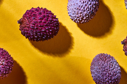 Top view of tropical litchi fruit on, a Food & Drink Photo by Yaroslav Danylchenko