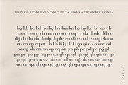 Calina serif classy font, a Serif Font by suhadidesign (Thumbnail 16 of 18)