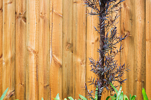 Landscape Design, a Nature Photo by THP Creative