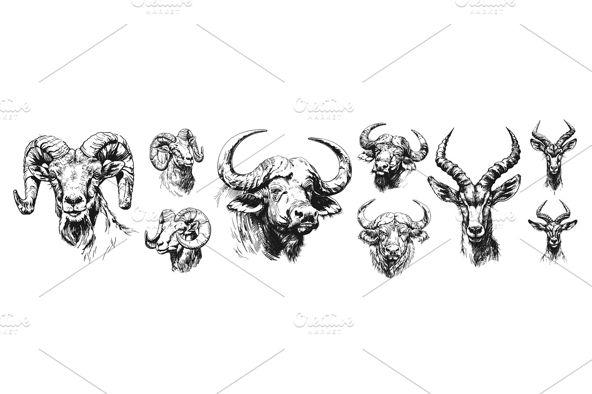 Horned animals pencil sketch avatars, an Animal Illustration by Stock-Smart-Start