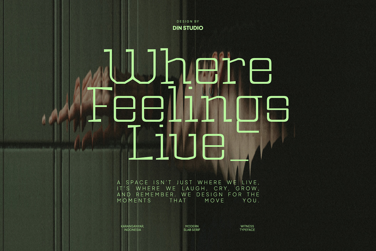 Witness, a Slab Serif Font by din-studio.com (Photo 2 of 15)