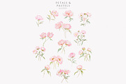 watercolor coquette pink peony set, a Decorative Illustration by Patishop Art (Thumbnail 9 of 10)