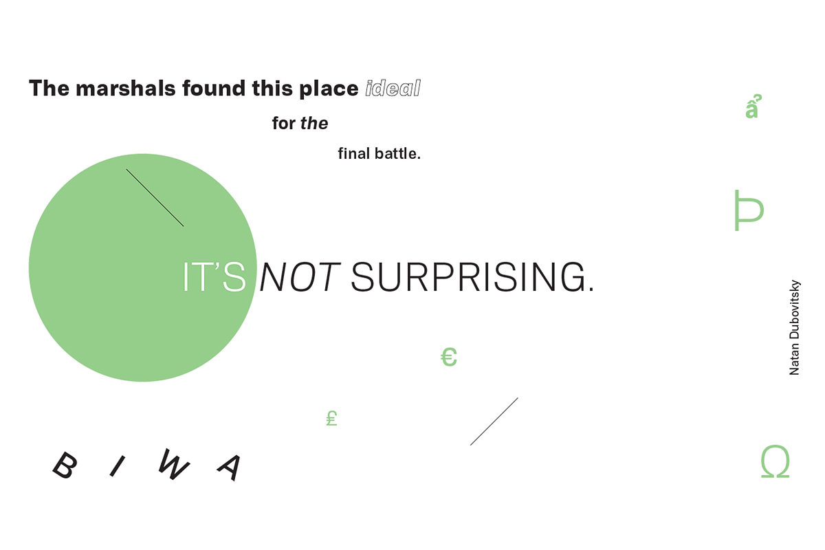 Biwa Variable, a Sans Serif Font by Wordshape (Photo 9 of 12)
