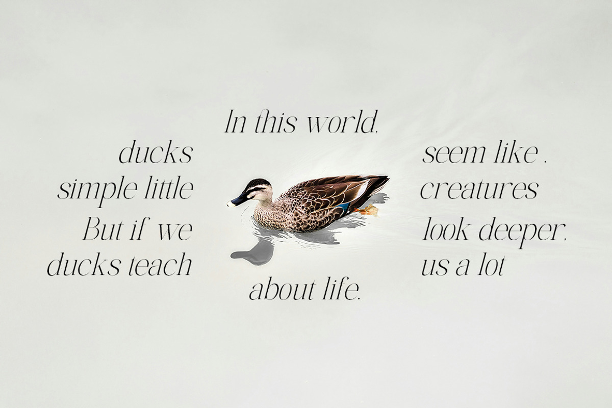 The Elegant Memories ( 32 Fonts ), a Serif Font by IM Studio (Photo 5 of 12)