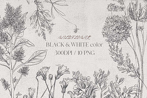 wildflower clipart