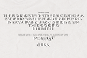 Thereon - Modern Romantic Serif Font, a Serif Font by VP Fonts (Thumbnail 19 of 21)