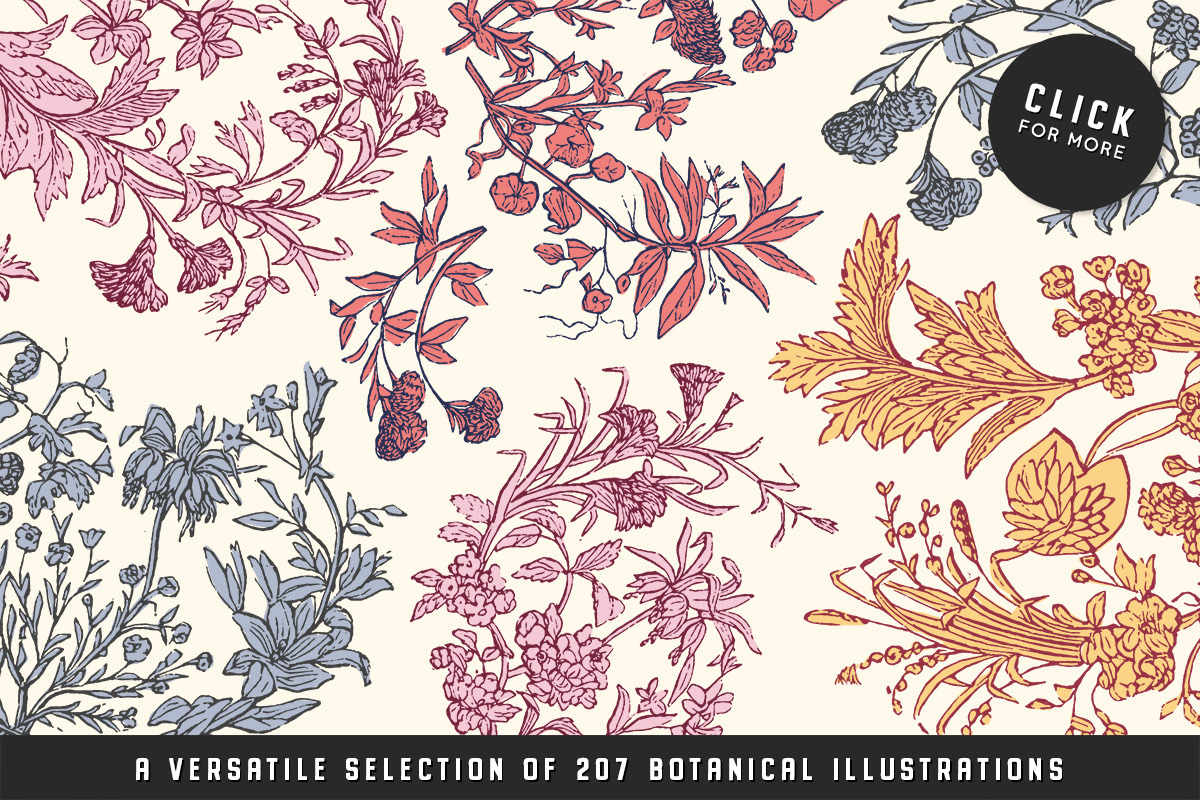 The Vintage Graphics Design Pack, a Decorative Illustration by Century Library (Photo 4 of 14)