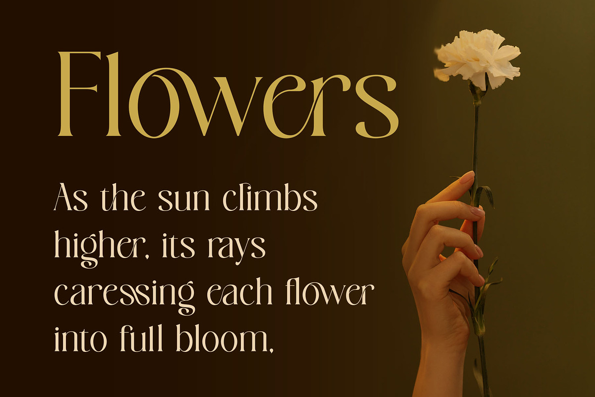 Bowtaris || ligature display serif, a Serif Font by ToniStudio (Photo 6 of 9)