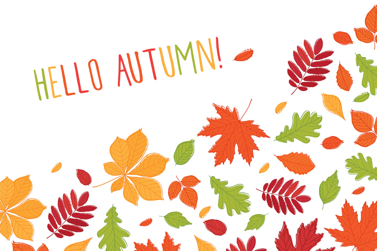 Hand drawn autumn leaves., an Education Illustration by Tkoko vectors & patterns (Photo 4 of 12)