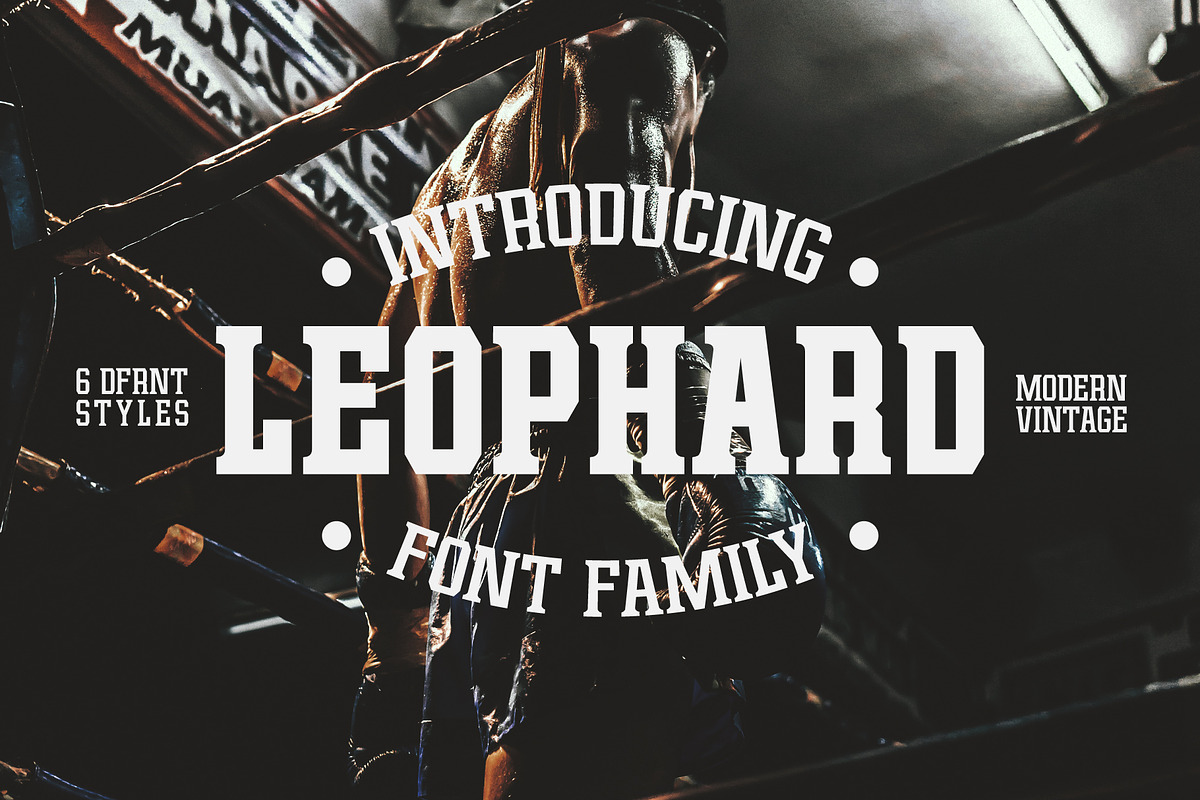 Leophard Font Family, a Slab Serif Font by Arterfak Project (Photo 1 of 14)